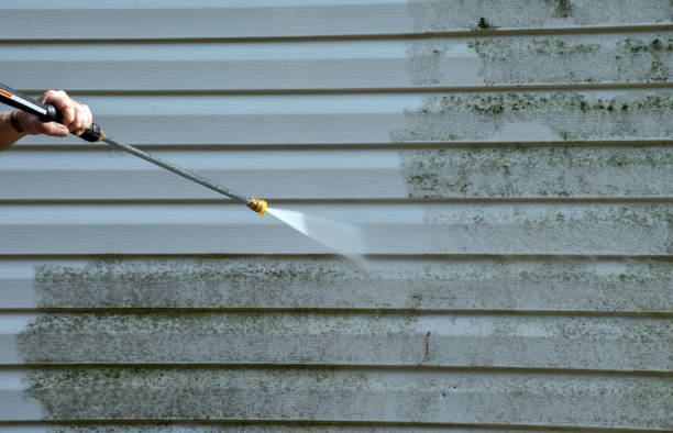 Best Residential House Exterior Washing  in Deer Park, NY